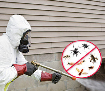 Pest Control in riyadh